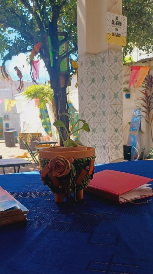 Bar Quartos Climatizados 22h As 8h Albergue Recife